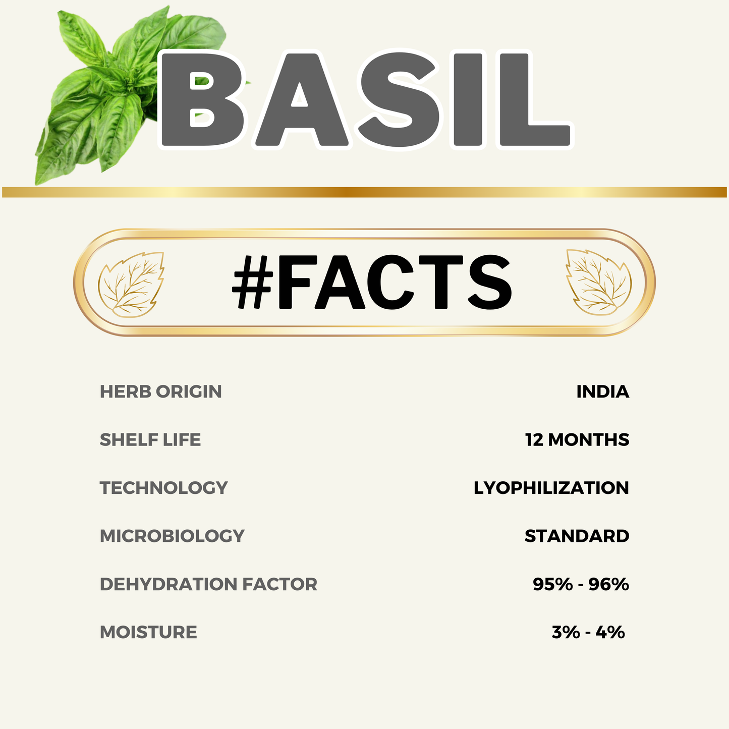 Freeze Dried Sweet Basil | Supreme Flavor | No Preservative | Feel the Freshness