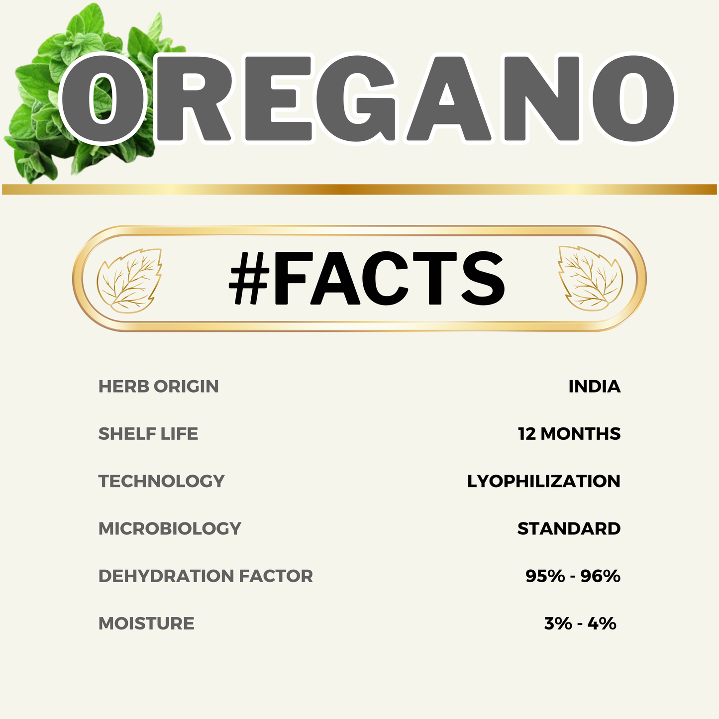 Oregano Freeze Dried | No Preservatives | Hand Picked