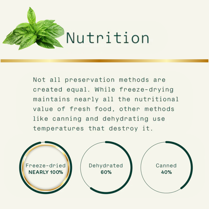 Freeze Dried Sweet Basil | Supreme Flavor | No Preservative | Feel the Freshness