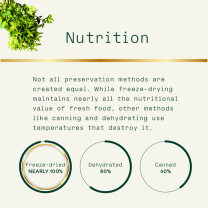 Oregano Freeze Dried | No Preservatives | Hand Picked